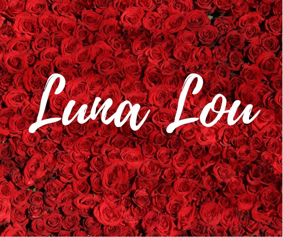 Luna Lou profile banner