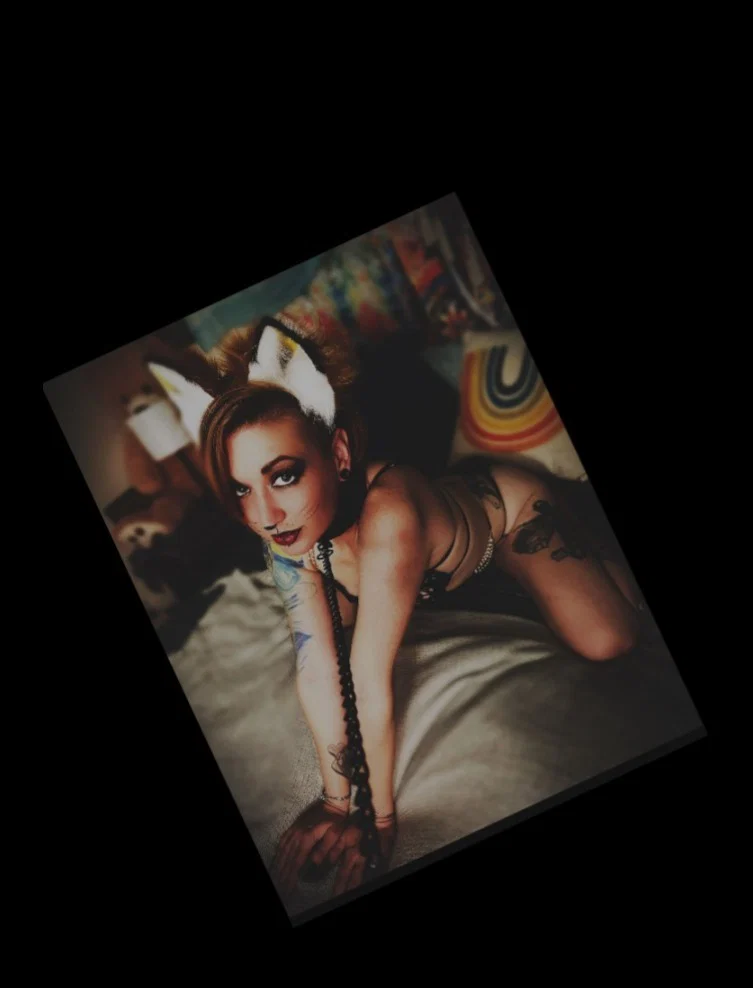 Kittish profile banner