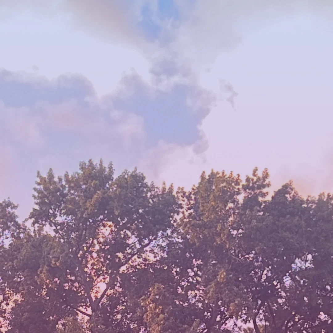 Quietlysmoking πΆβπ«οΈ profile banner