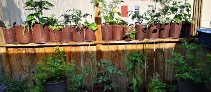 The Naked Gardener. profile banner