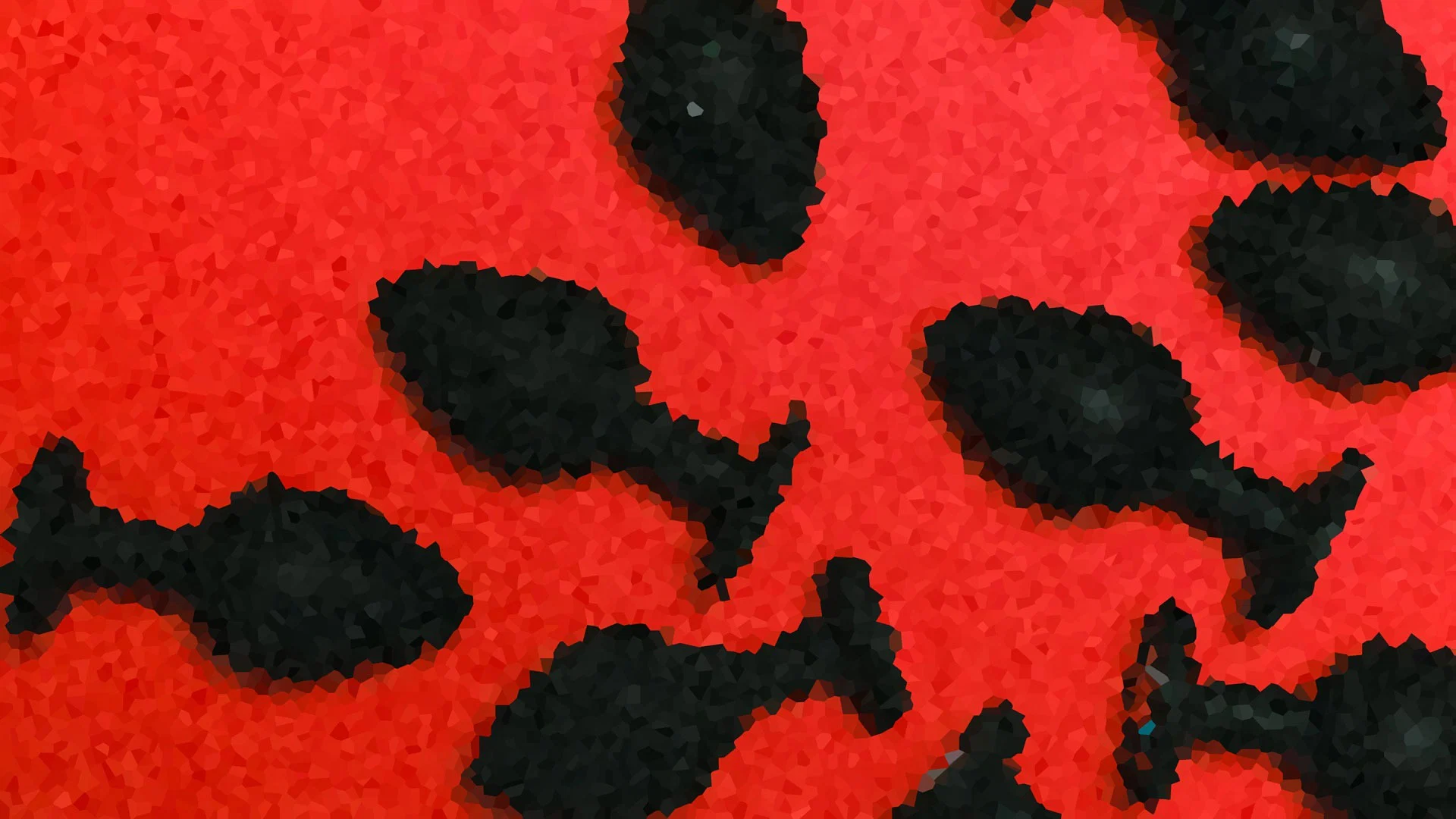 Xenyx profile banner