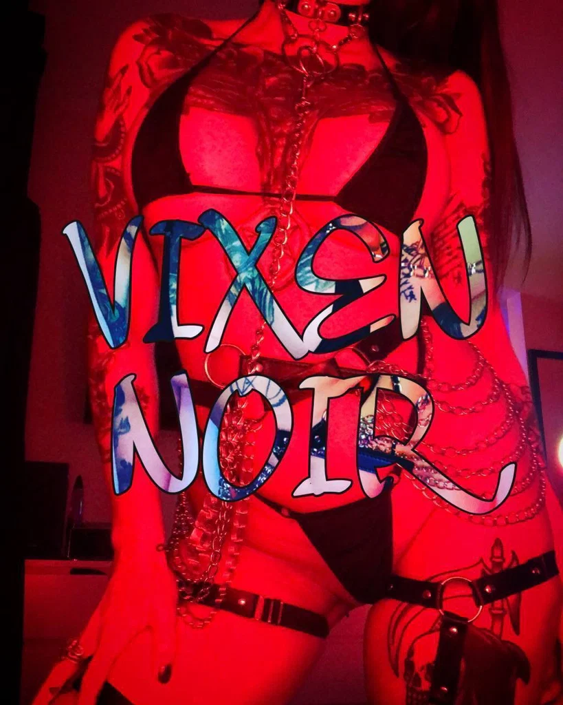 ✨🦇✨VIXEN NOIR ✨🦇✨'s avatar