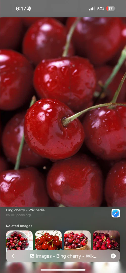 Dezodbaby 🍒 profile banner