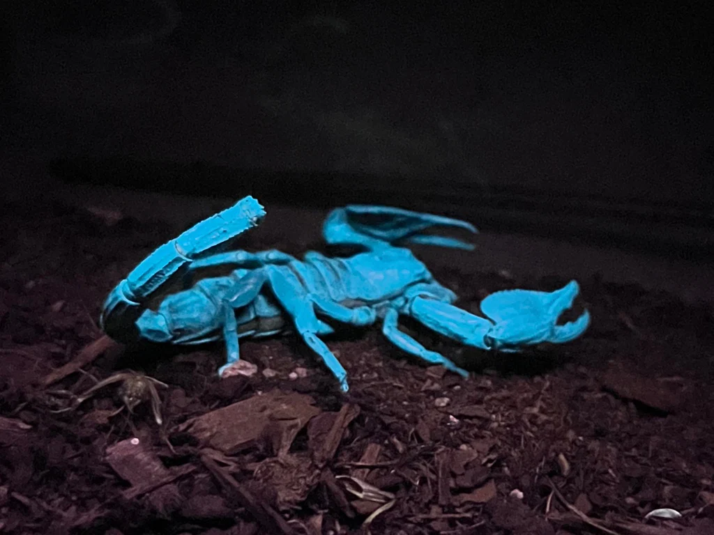 Deee's avatar