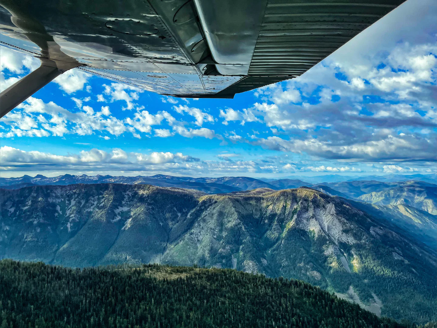 Montana Brat profile banner