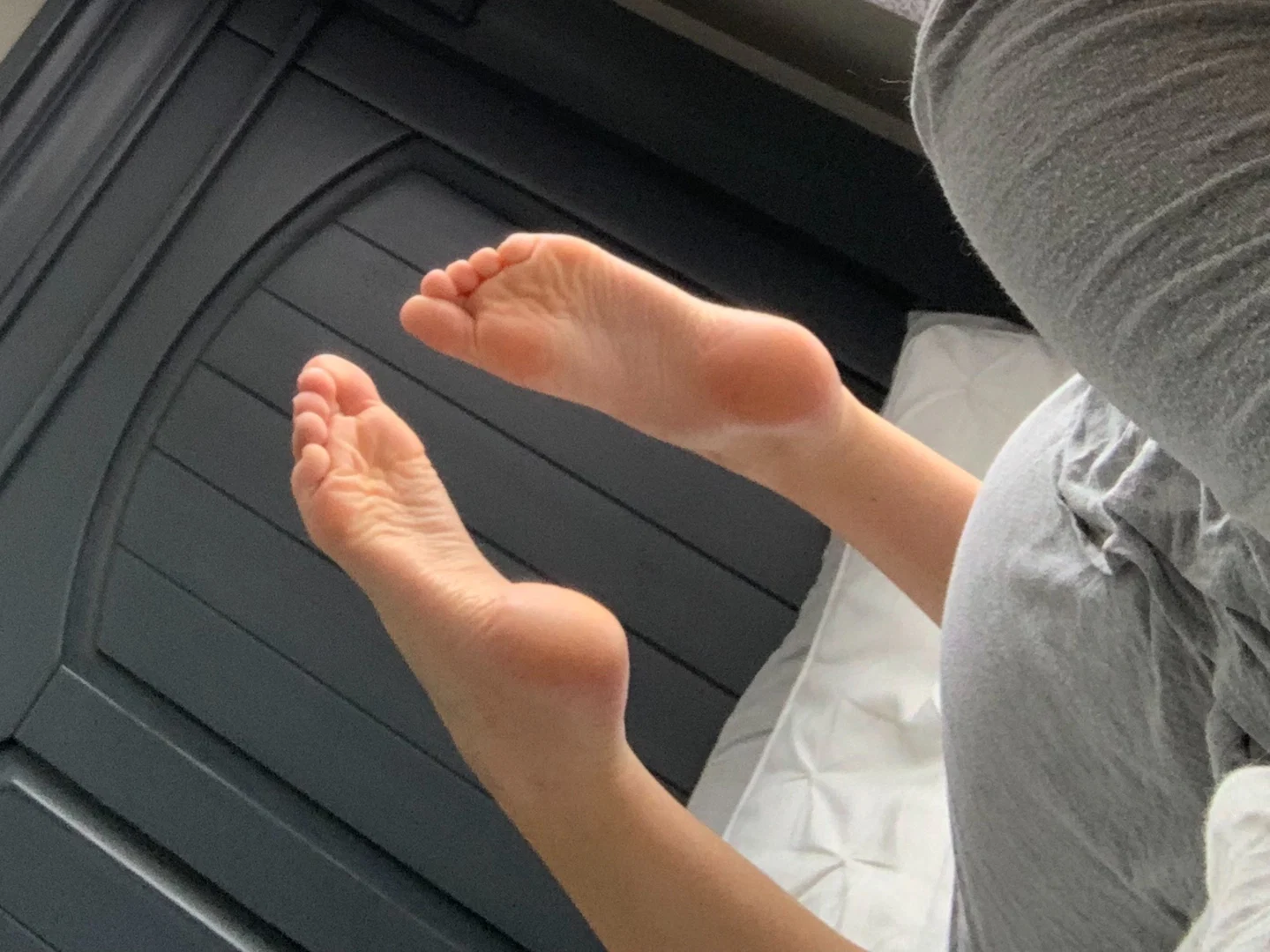 Honey-BToes profile banner