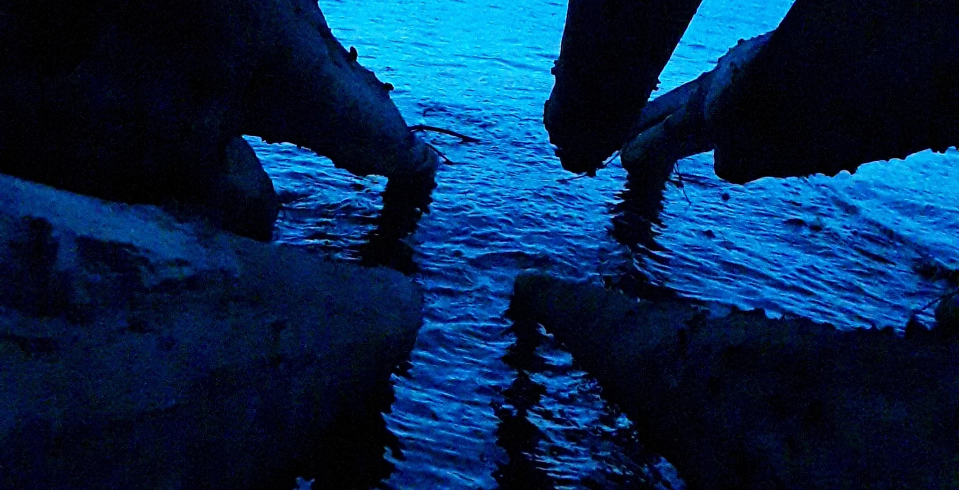 Rayholc profile banner
