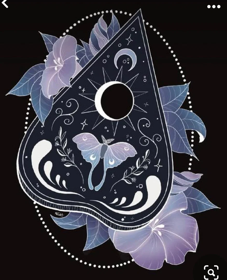 Butterfly profile banner