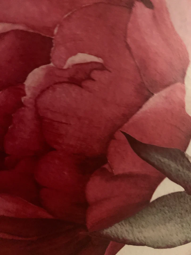 Lottie Niko profile banner