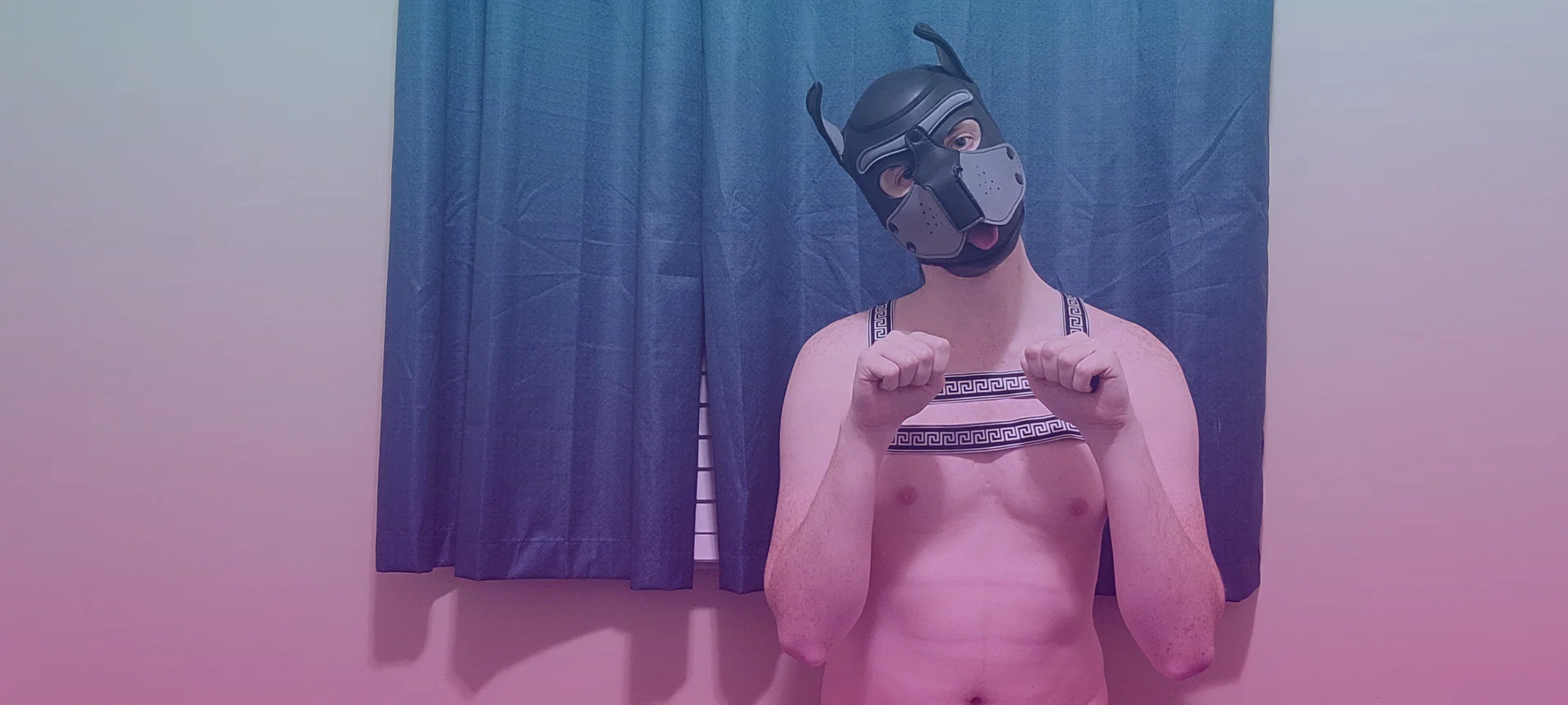 Pup Raff profile banner