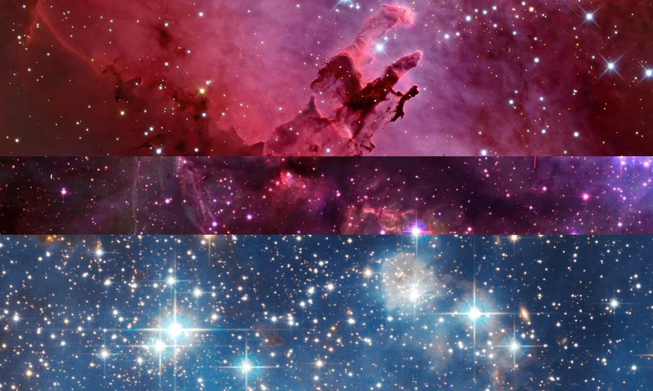 Danielle profile banner