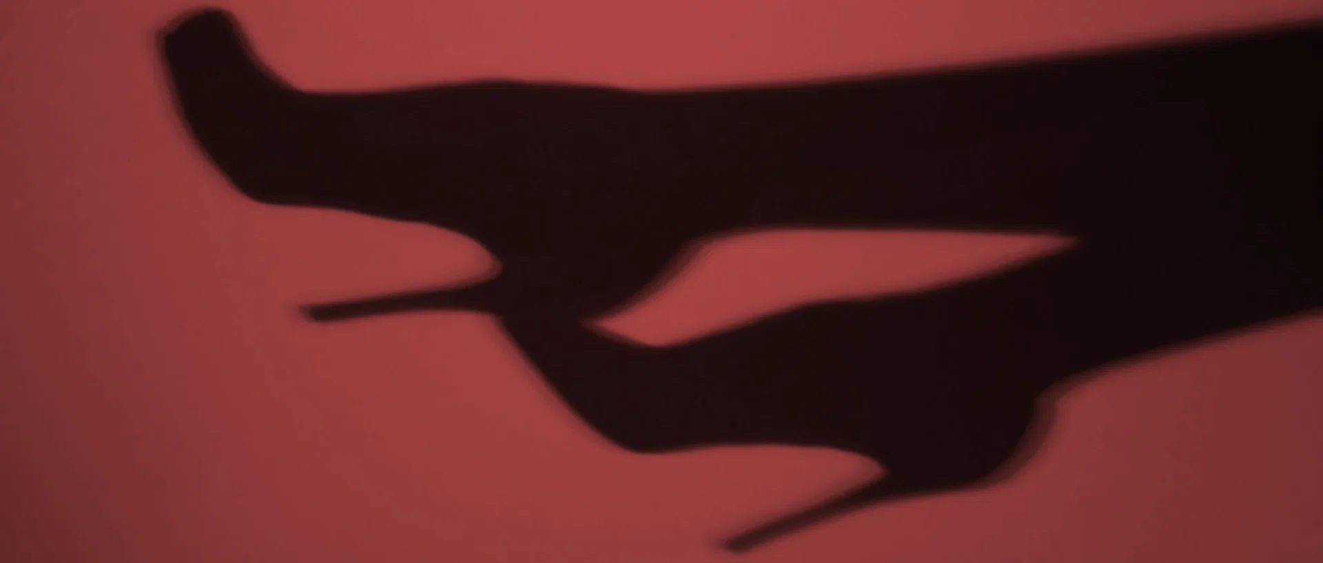 Angel profile banner