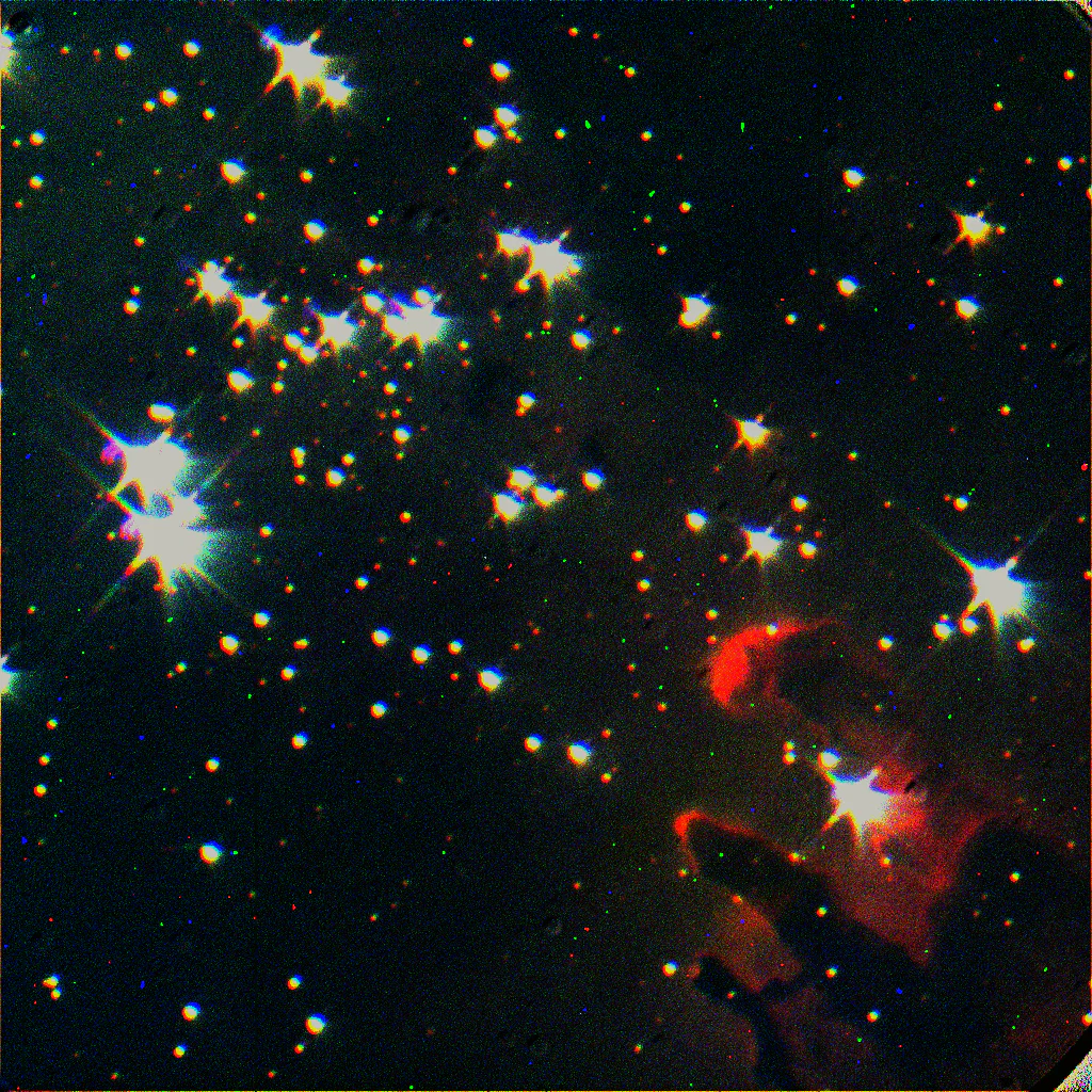 Paloma profile banner