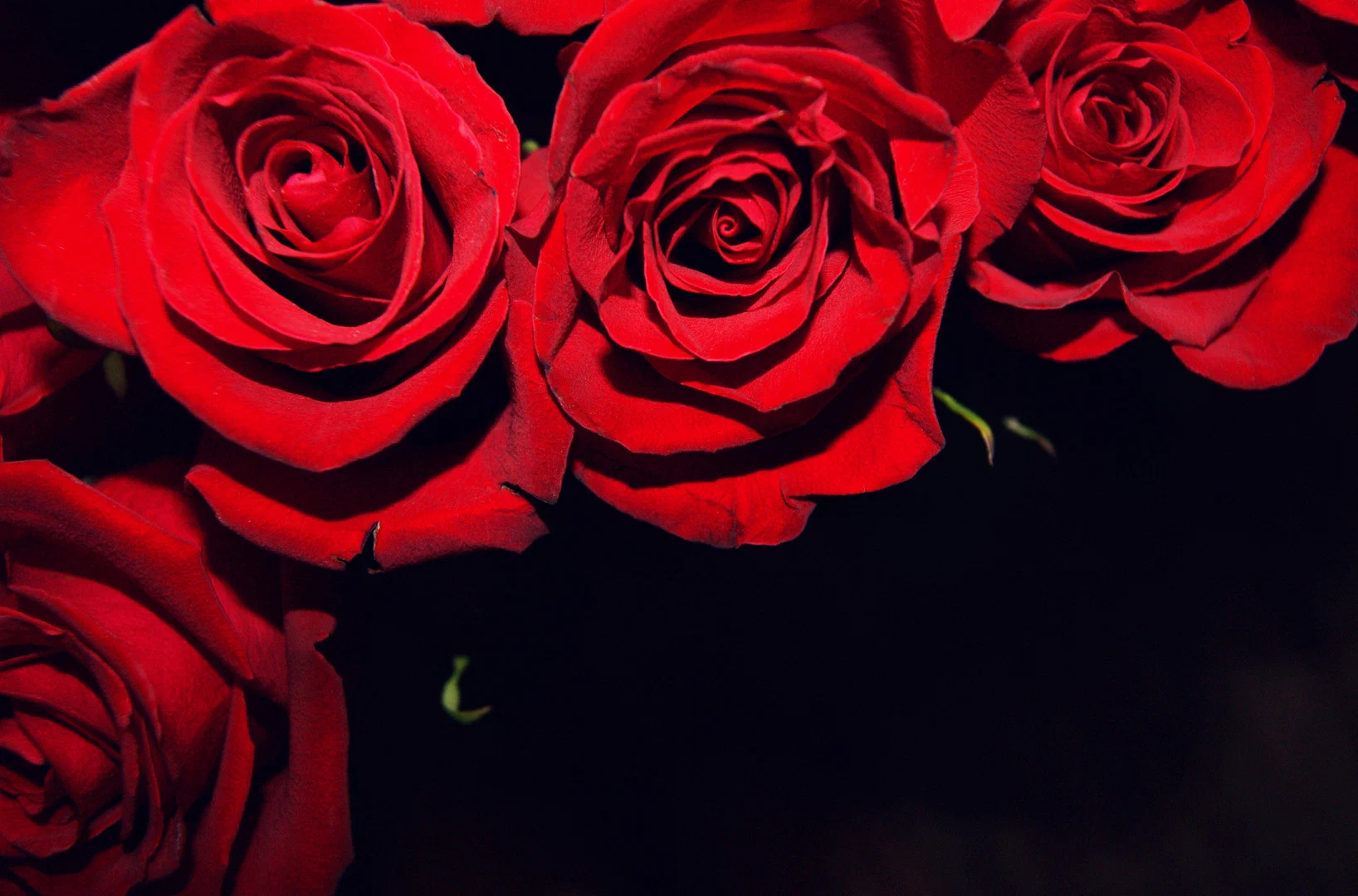 Fireball Mamma πβ€οΈβπ₯ profile banner