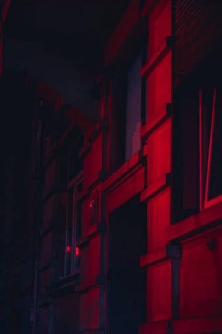 Dove profile banner