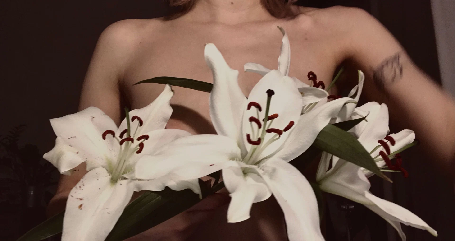 Barbs profile banner