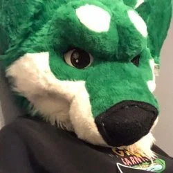 HuskyHuskyHarlot's avatar