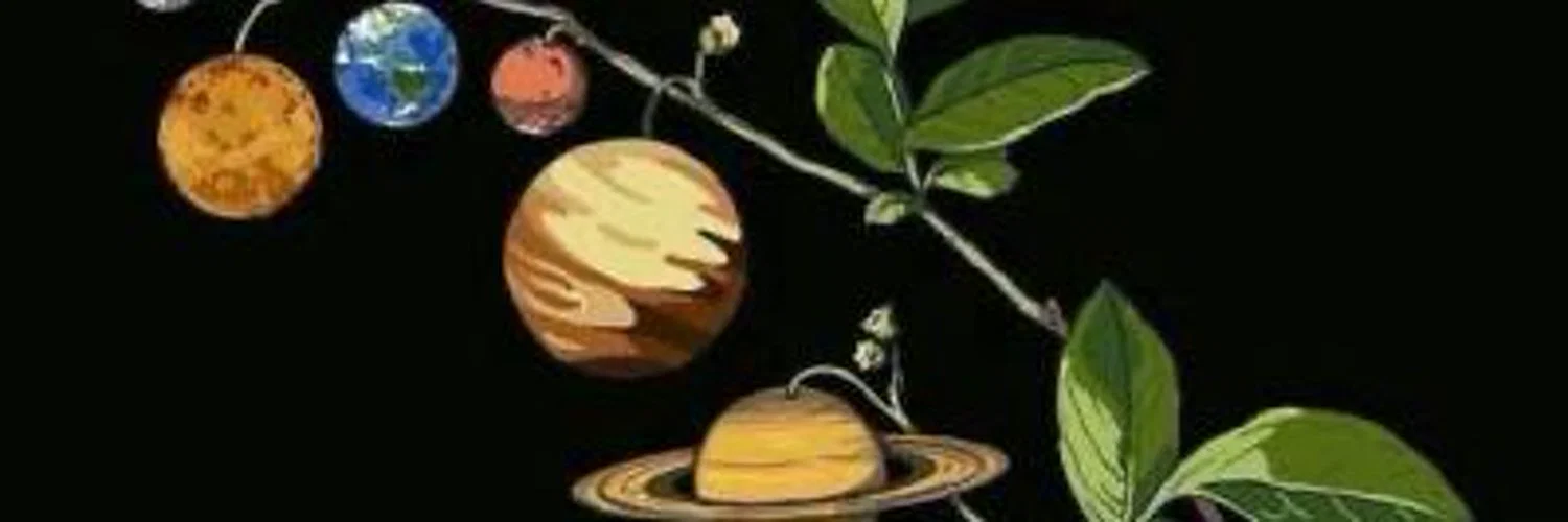 Space Princess profile banner