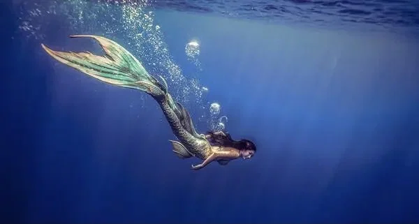 The Masked Mermaid π§πΌββοΈ profile banner