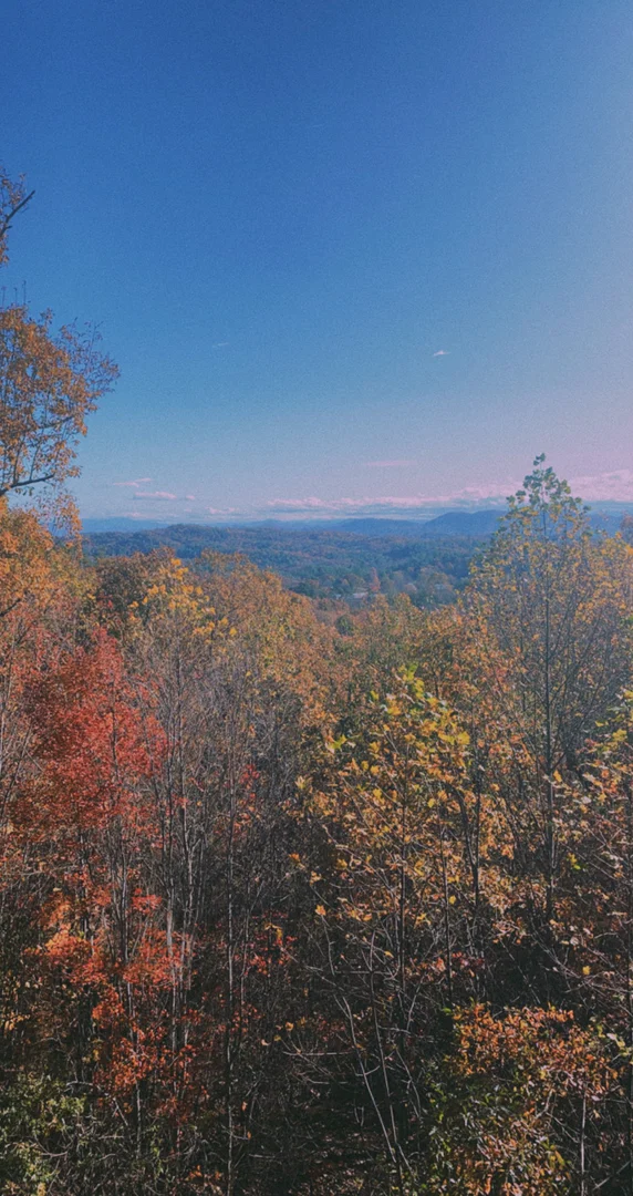 Ryan profile banner