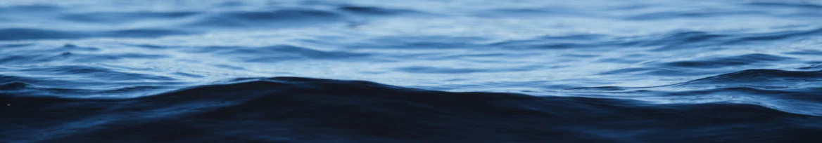 Vlorentín profile banner