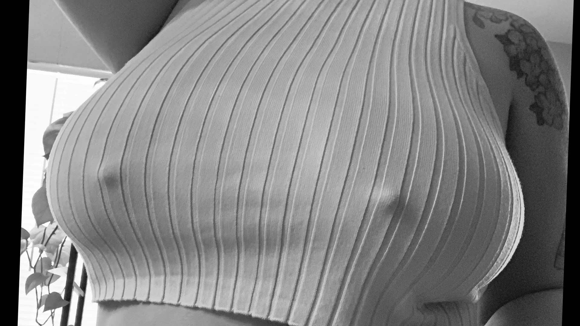 hot toddies profile banner
