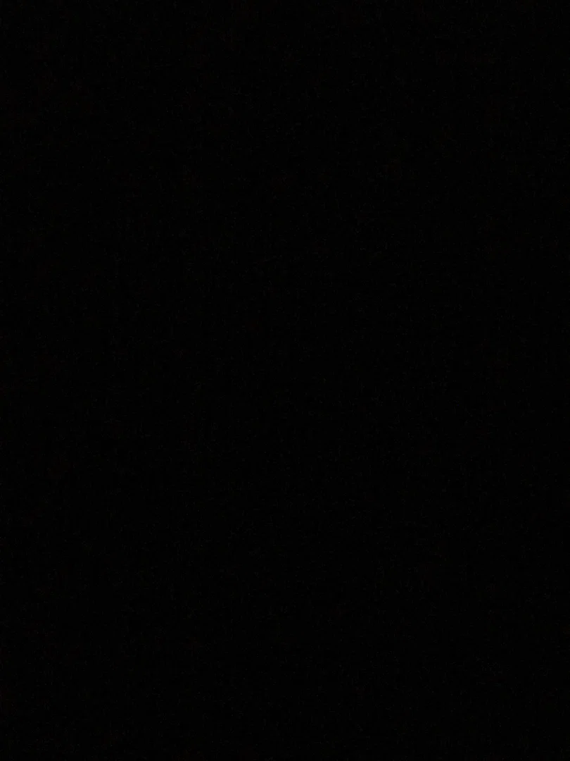 PineapplePapi profile banner