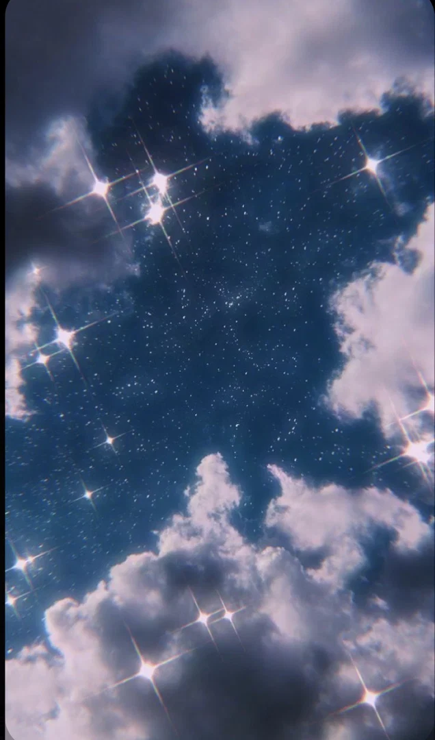 ππππππππππππ π¦ profile banner