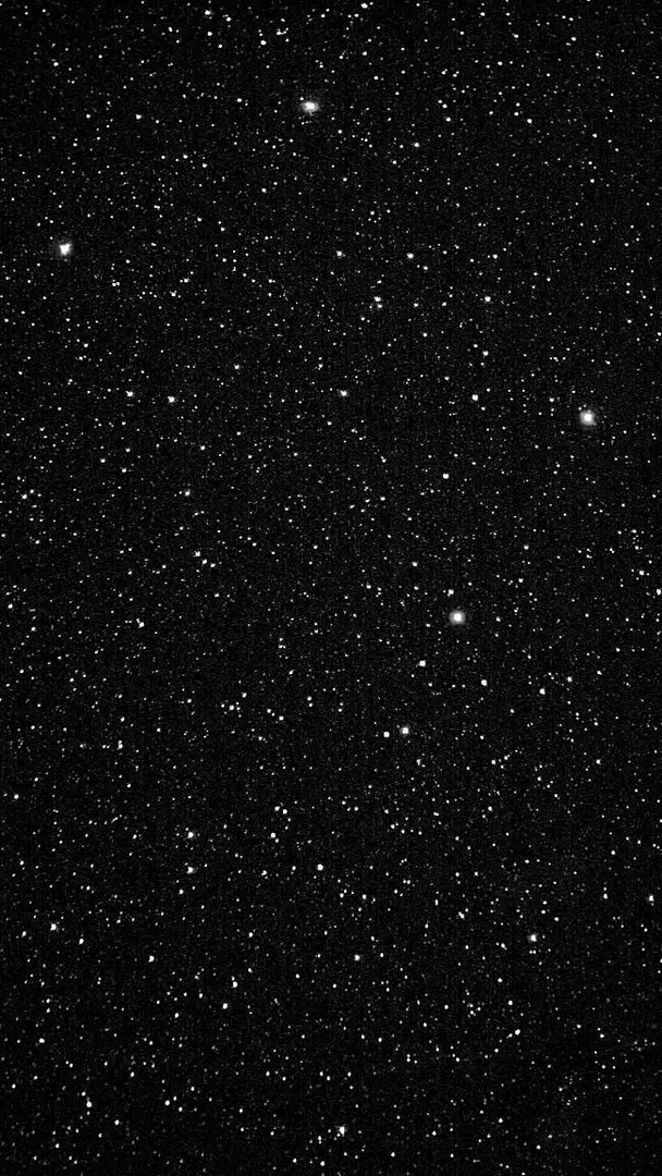 Little B profile banner