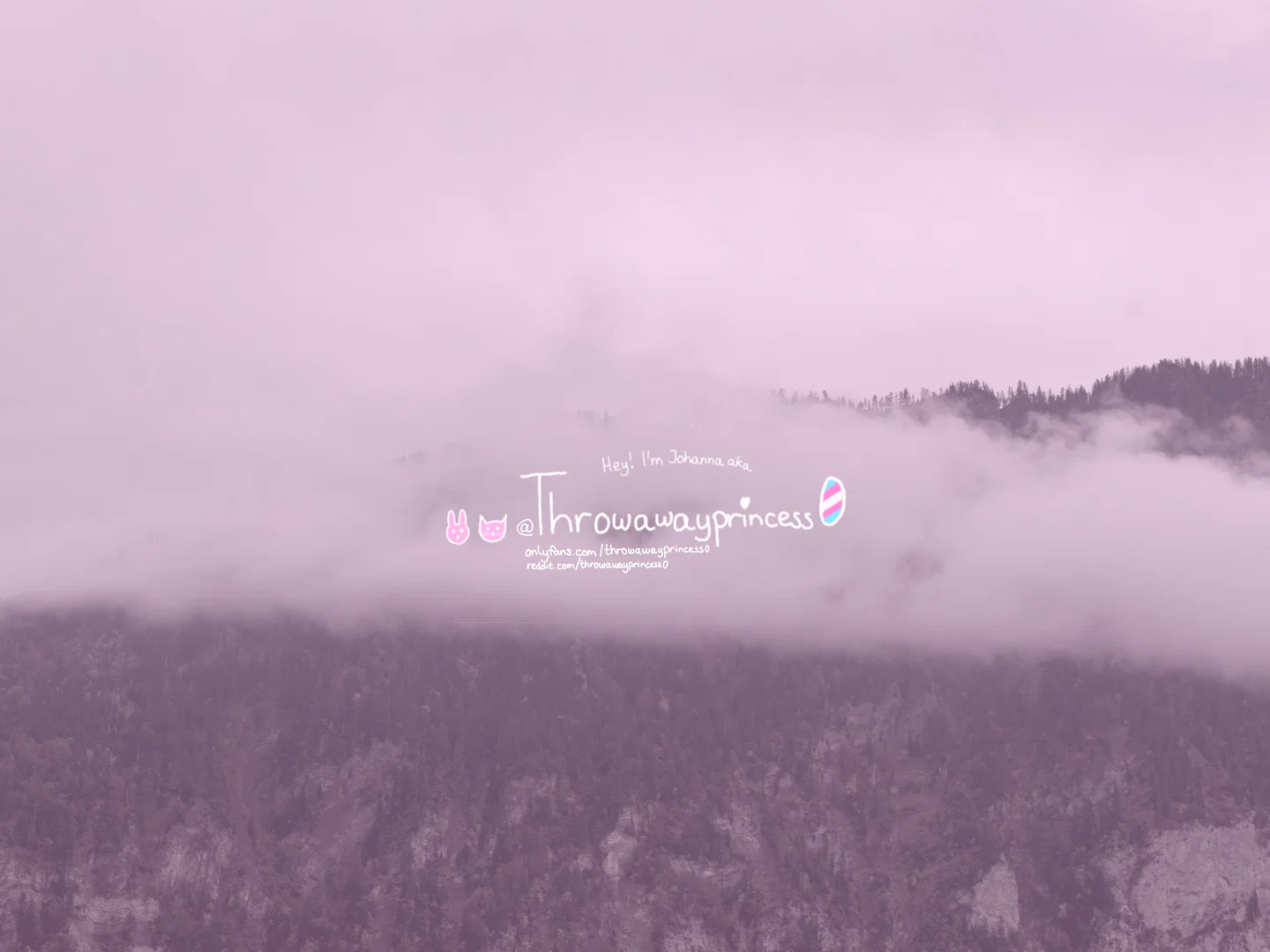 Johanna π profile banner