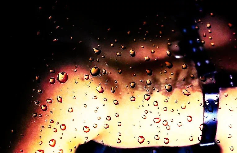 Joey profile banner