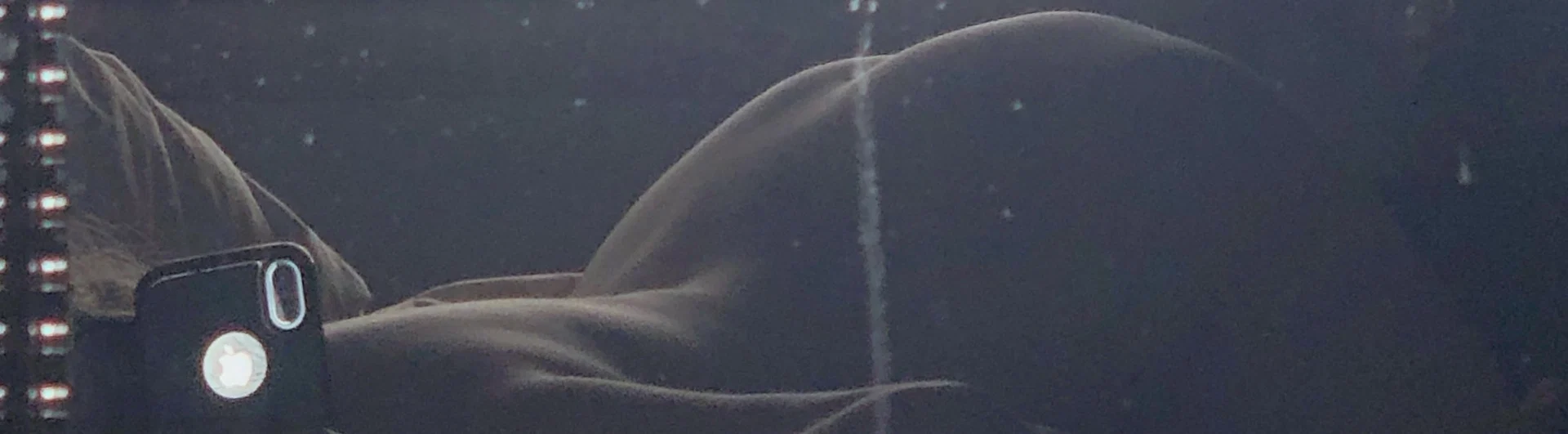 Ms. Janel profile banner