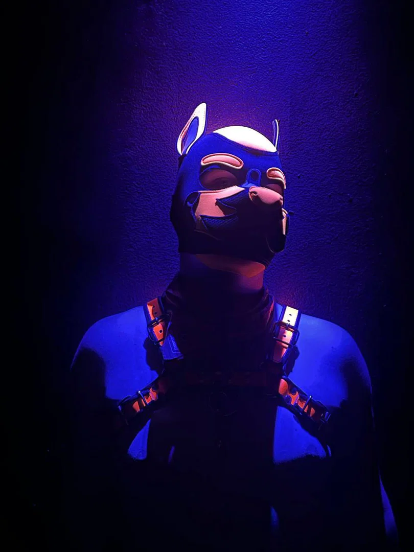 Quentin the Hellhound profile banner