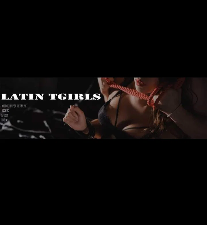 Latin Tgirls profile banner