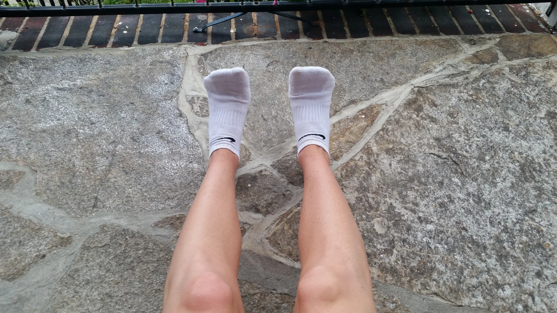 Camtastical Socks profile banner