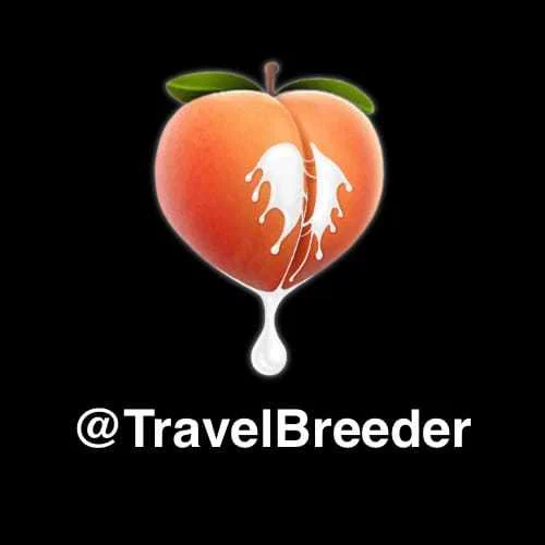 Travel Breeder's avatar
