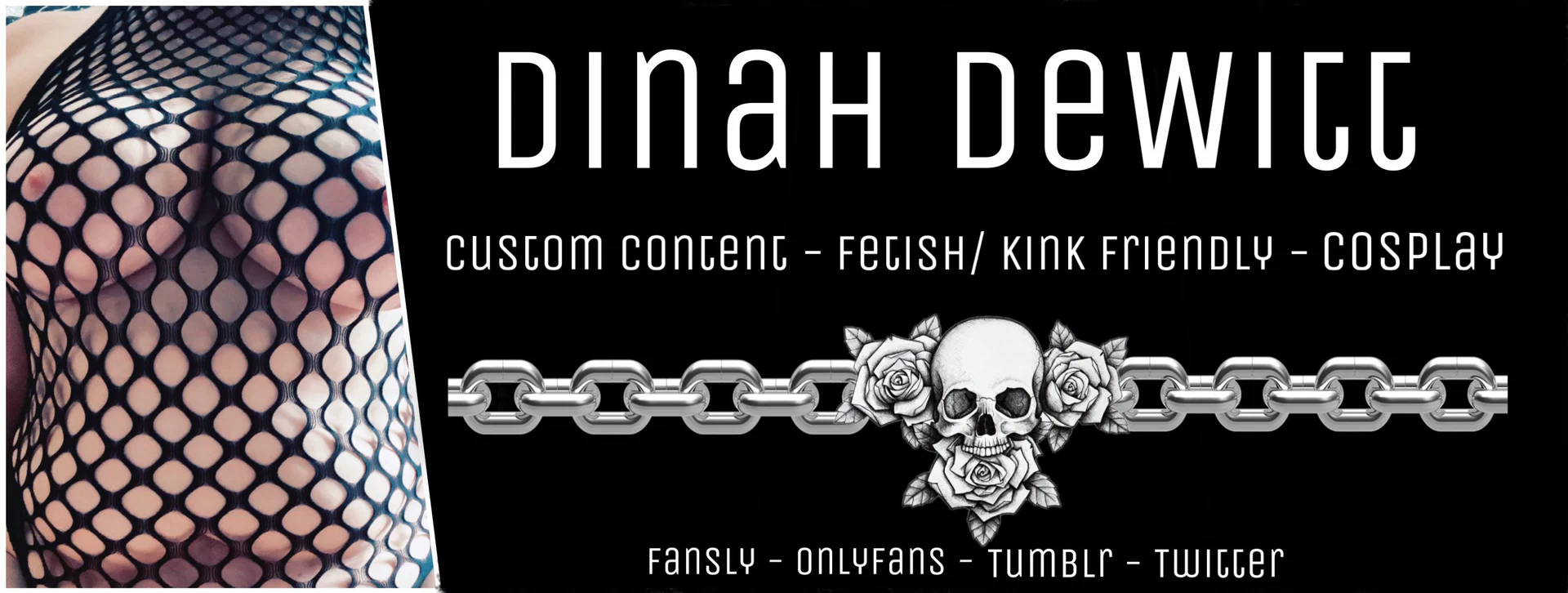 Dinah DeWitt profile banner