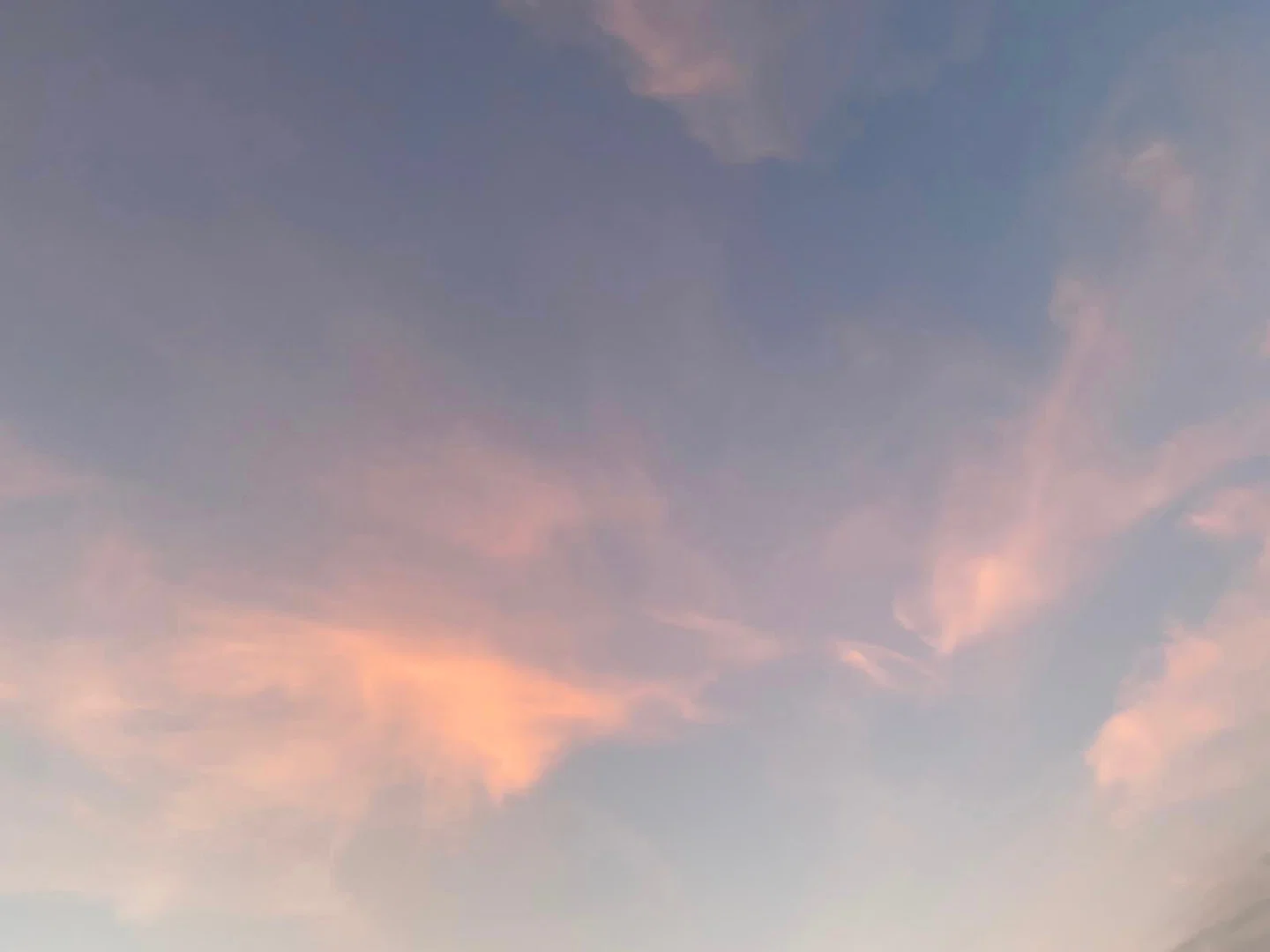 Lea profile banner