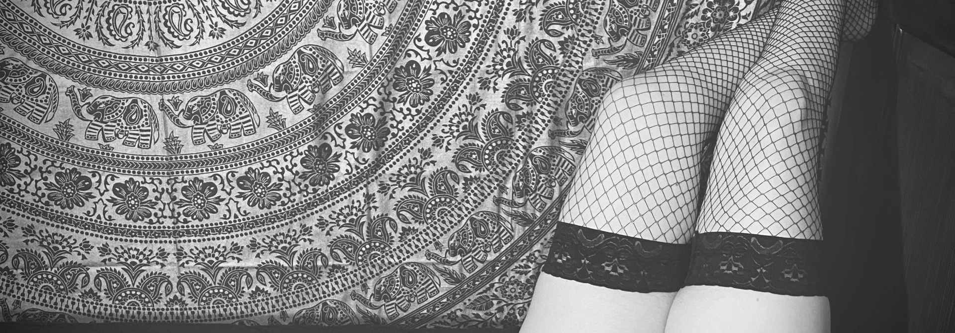 Sophie profile banner