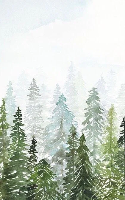 Naturally Amber FREE profile banner