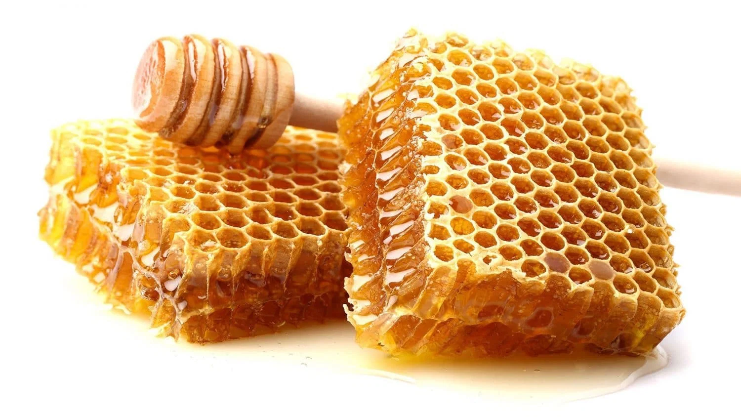 @honeybum🍯🍯🍯 profile banner