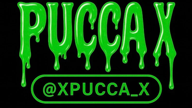 PUCCA X π€β
profile banner