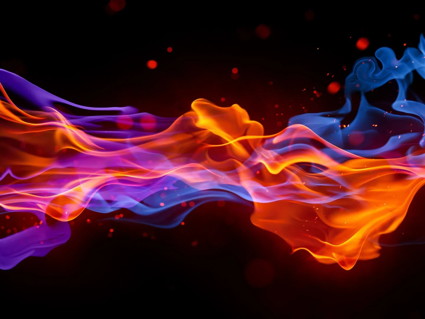 Roslyn Roses profile banner