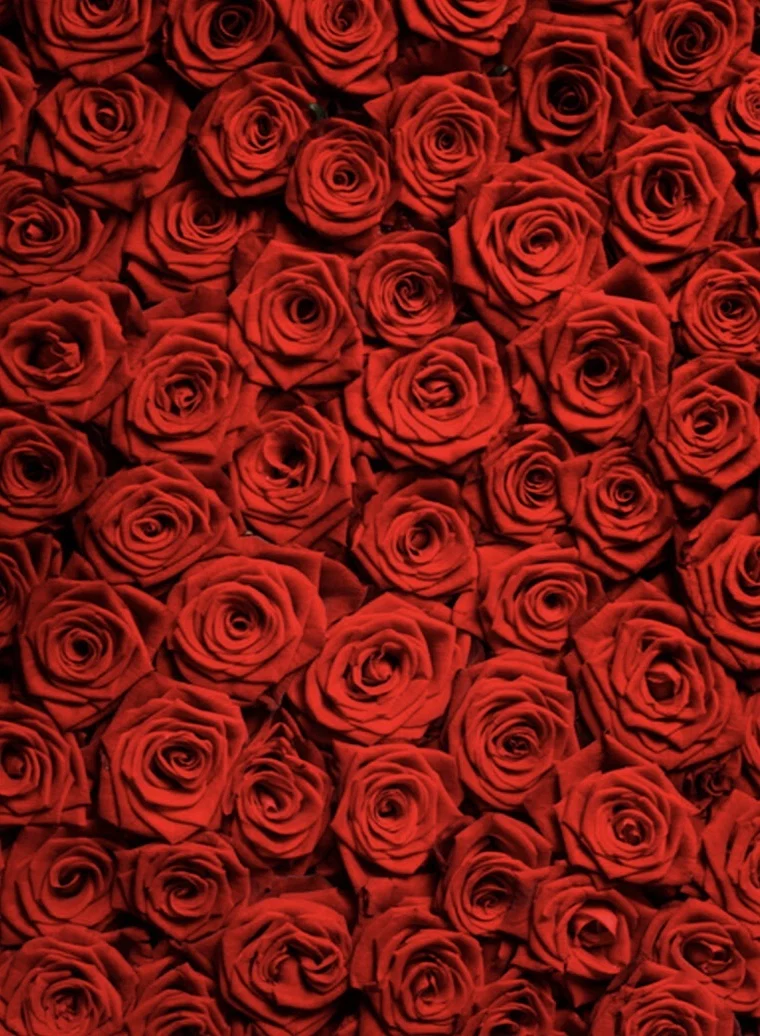 Prettybritty profile banner