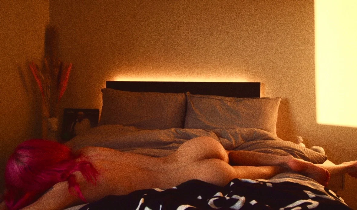 Norwegian Porn⭐️ (19) profile banner