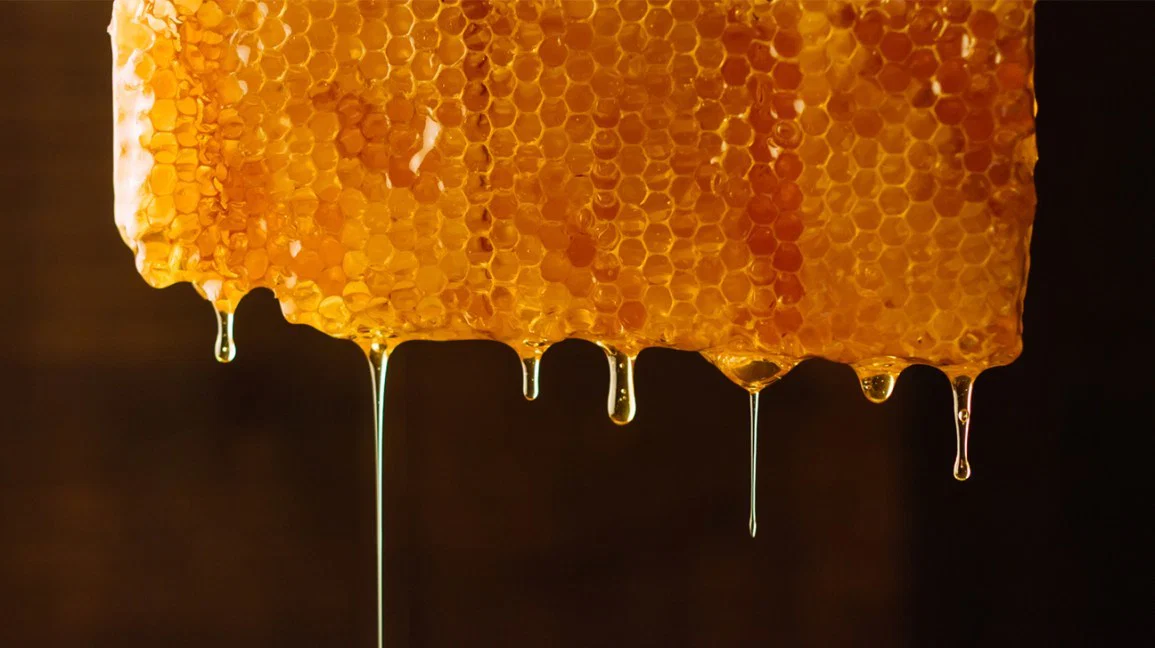 Blue Honey profile banner