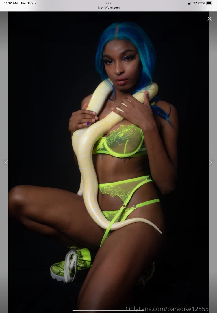 Paradise profile banner