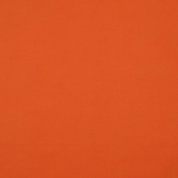 πππ©π’ πΆοΈ profile banner