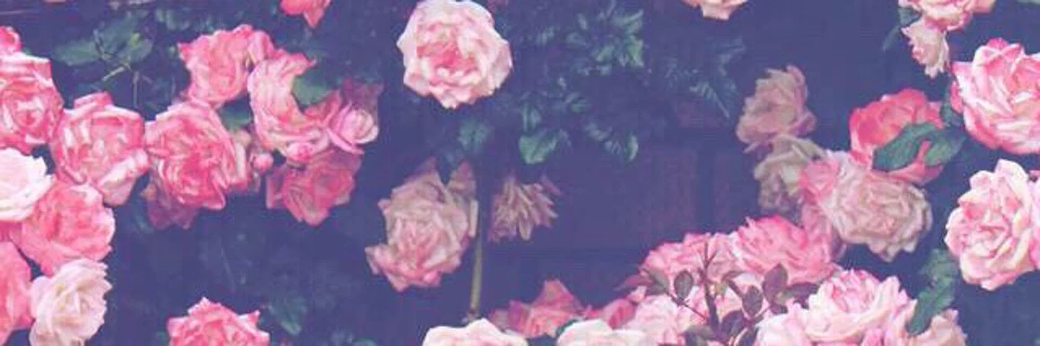 Ally profile banner