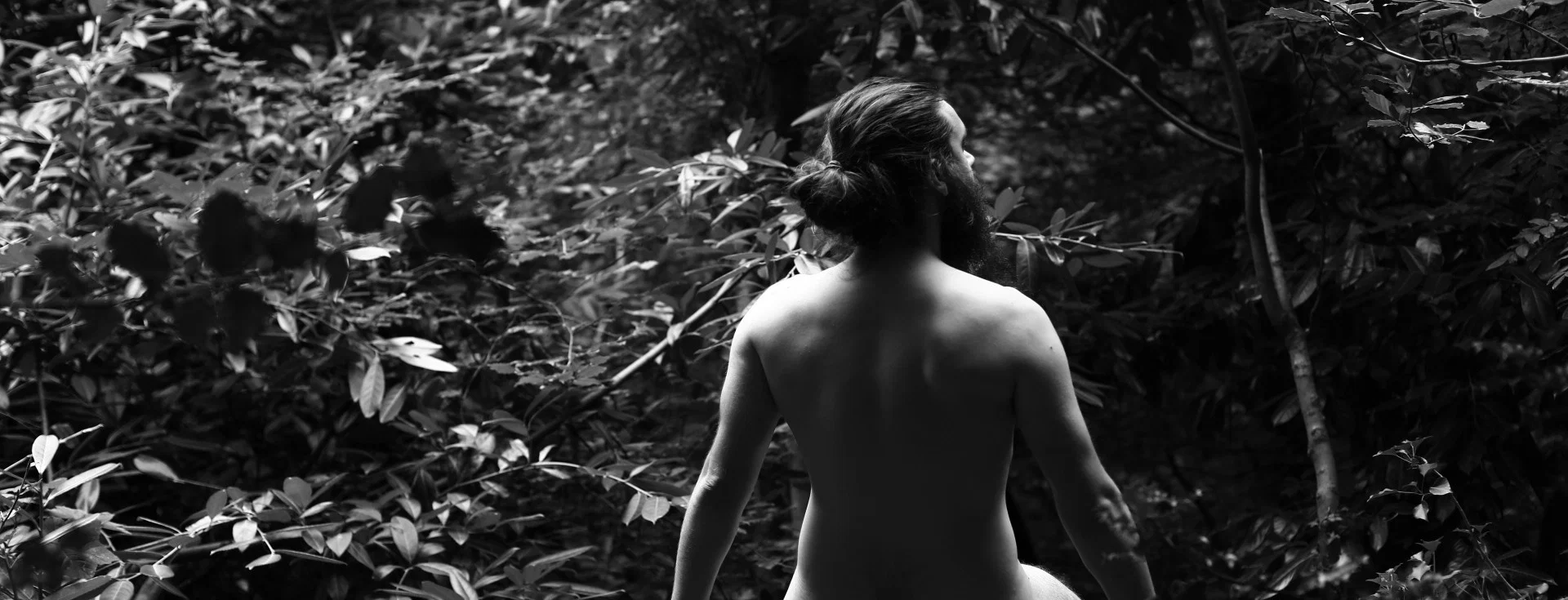 The Nude Self-portraitist profile banner